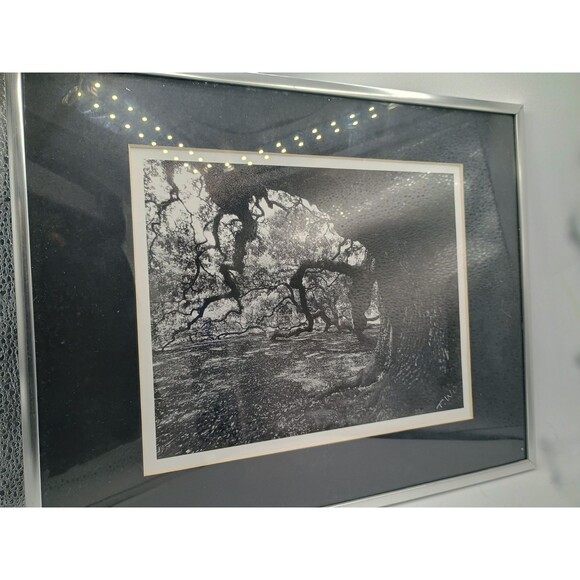 Photographic Art Angel Oak Tree John Island SC By Toni Winn 14.5x11 - Picture 2 of 10